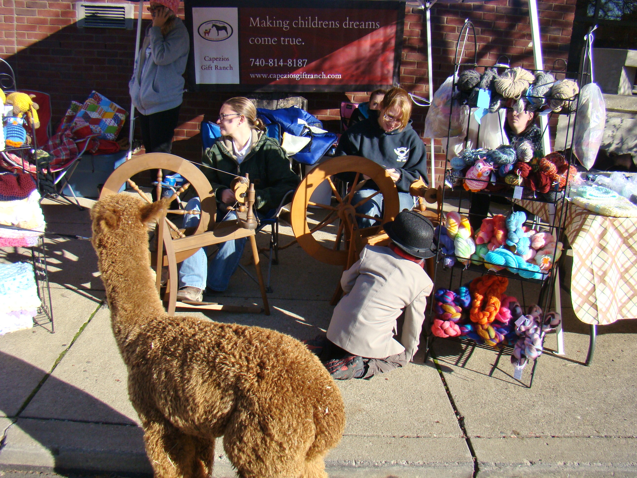 alpaca-booth
