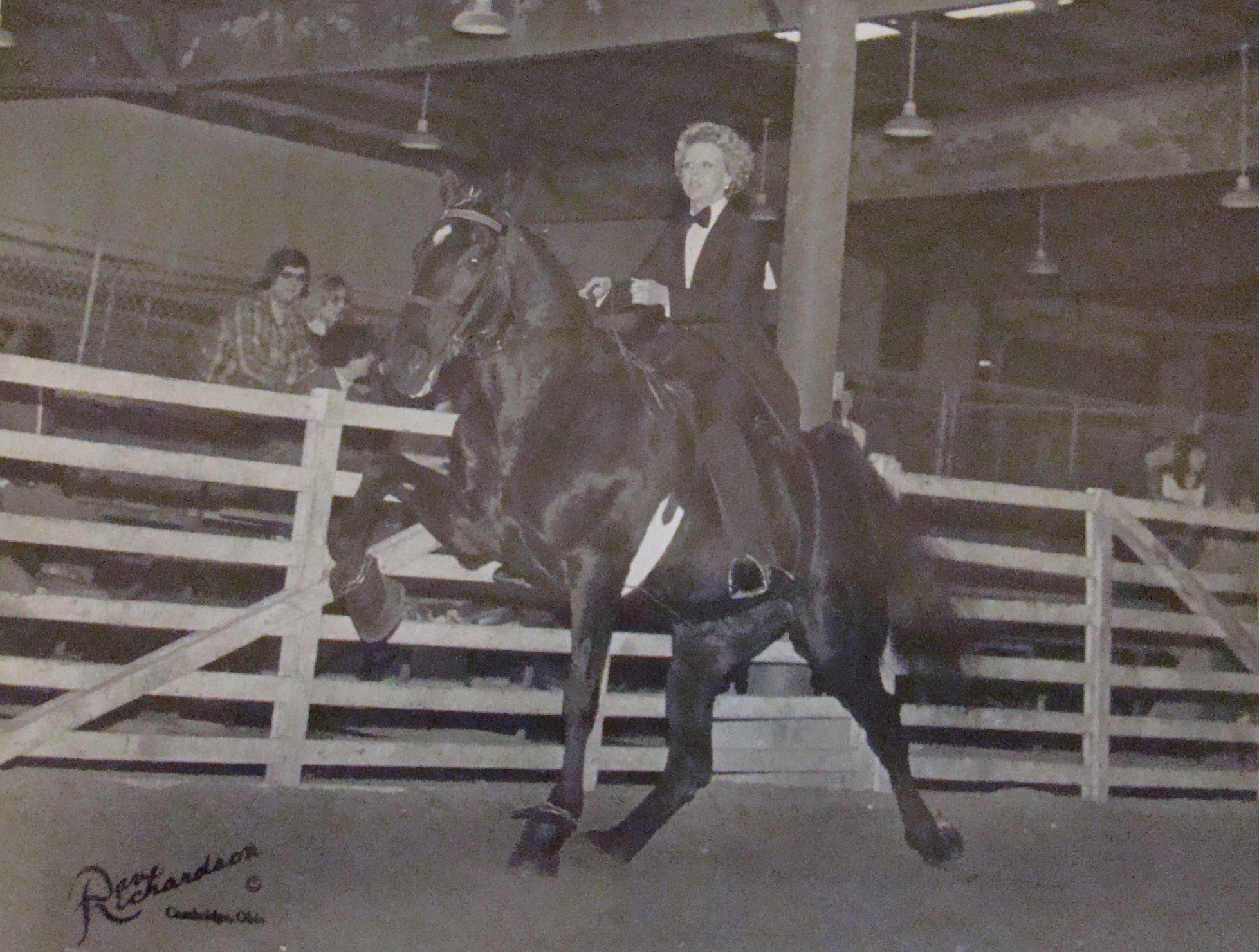Bonnie Showing Horses