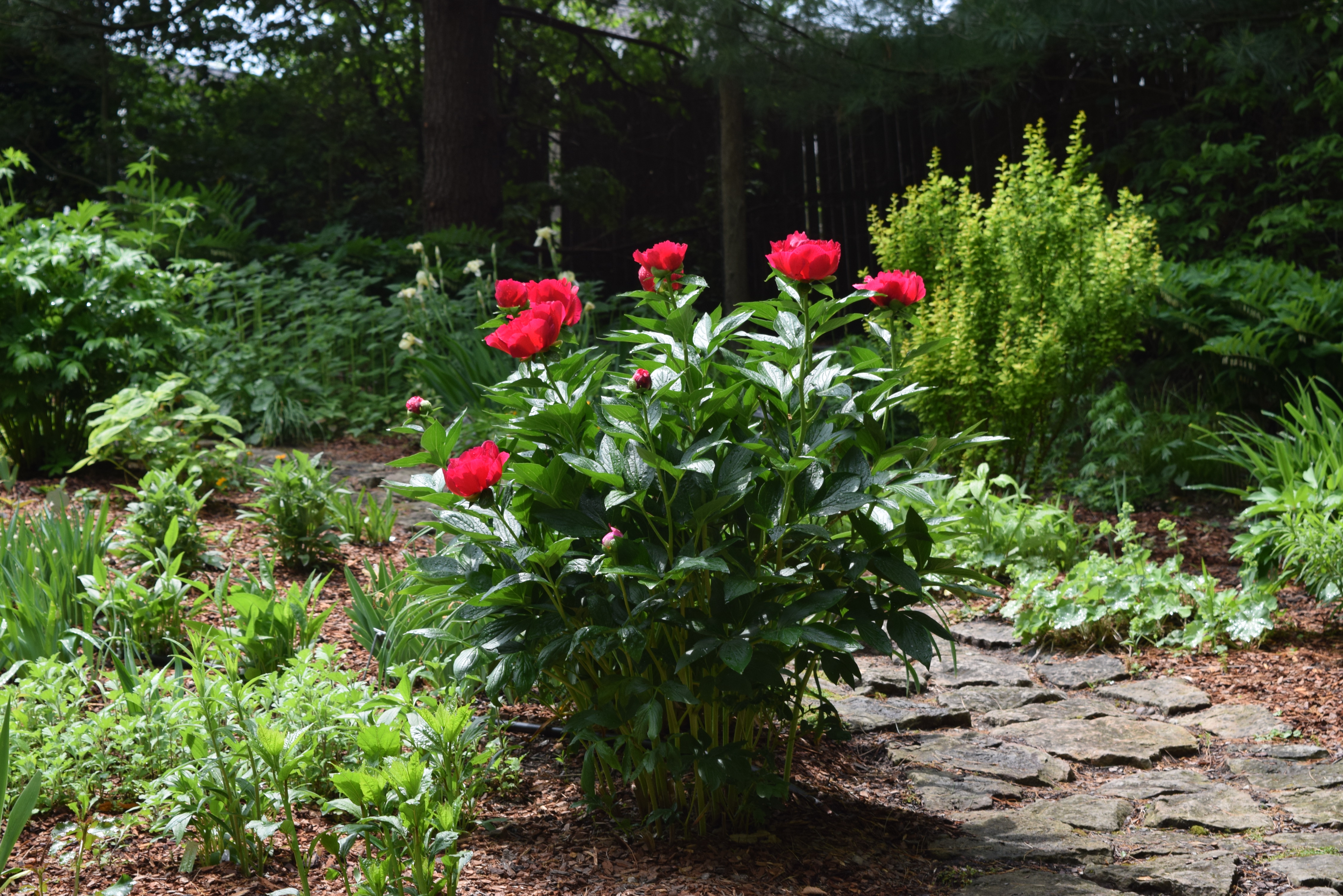 Flowers around every corner