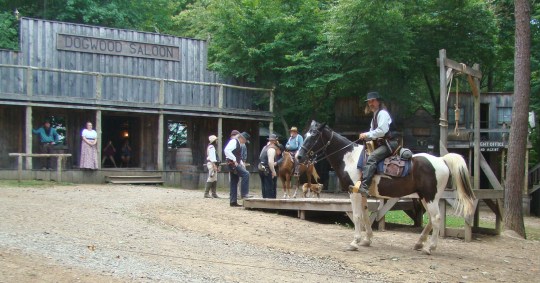Dogwood Pass Bank Robbery