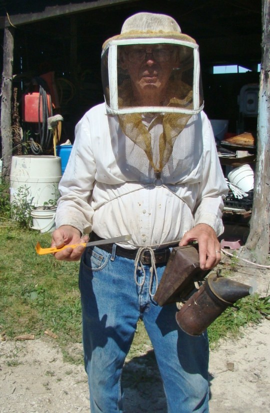 Bee Covering
