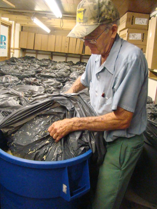 Algonquin Sauerkraut