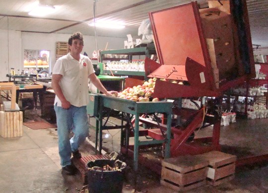 Hillcrest Apple sorter