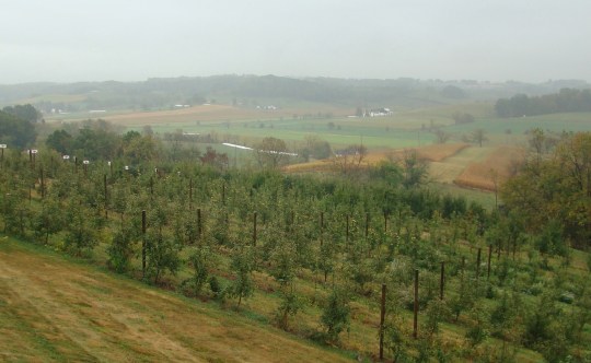 Hillcrest view from overlook