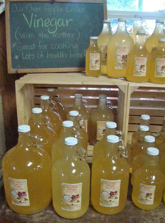Hillcrest Vinegar