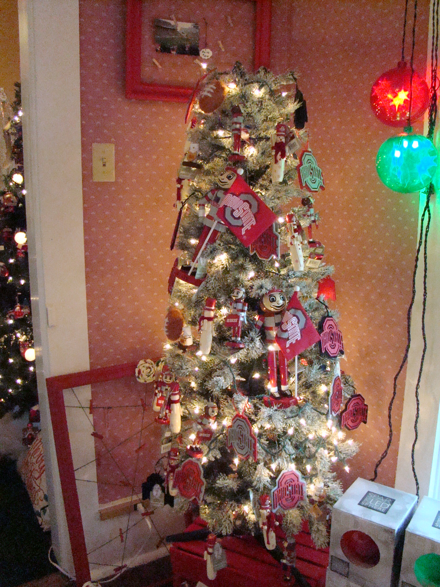 White Pillars - Buckeye Tree