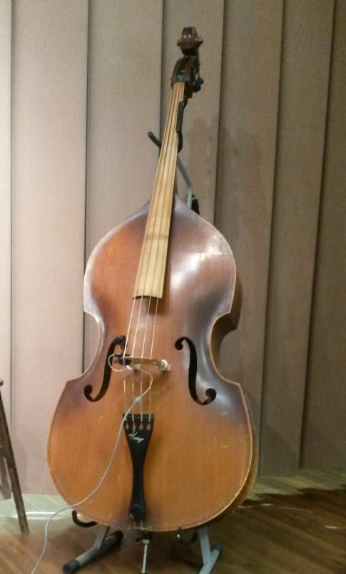Lisa's cello