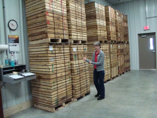 PV Swiss Cheese Crates