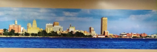 Buffalo Skyline