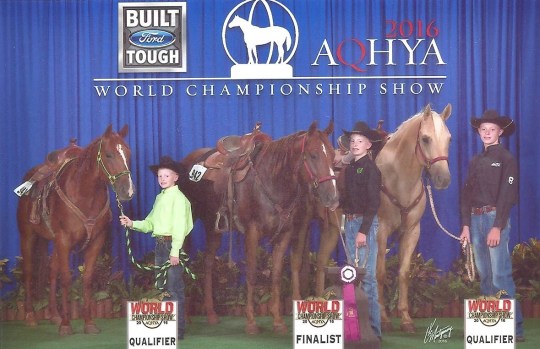 Robinson horse show 002