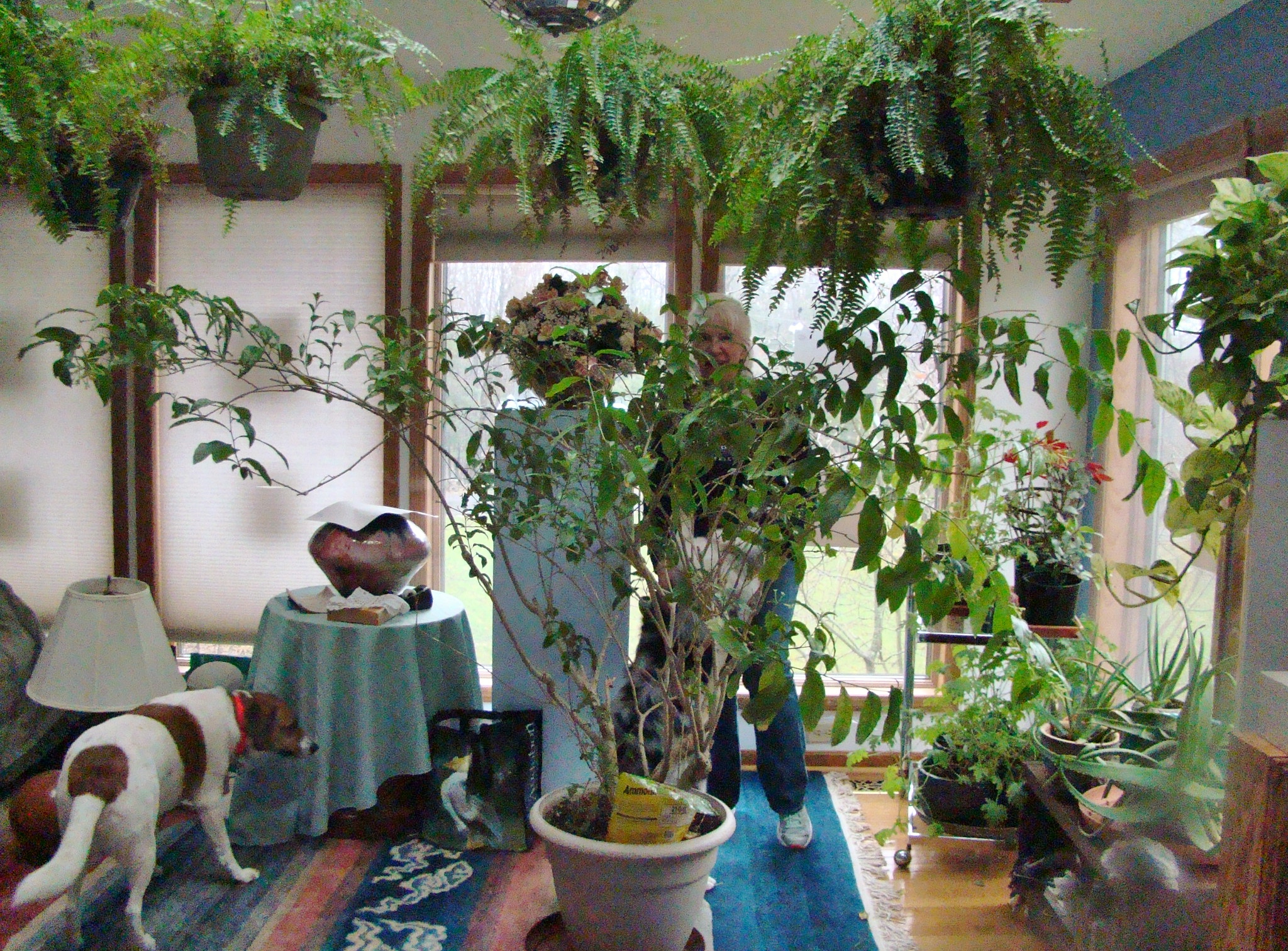 Pat Bathroom Greenhouse