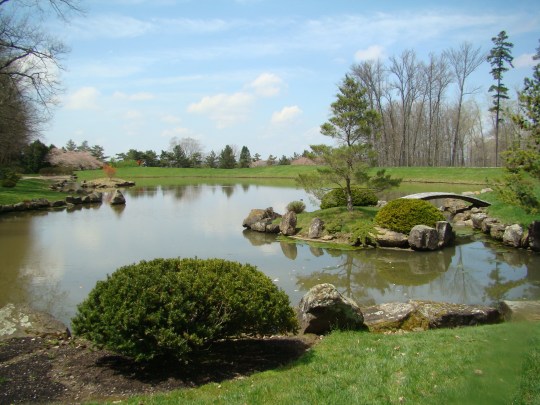 Dawes Japanese Garden