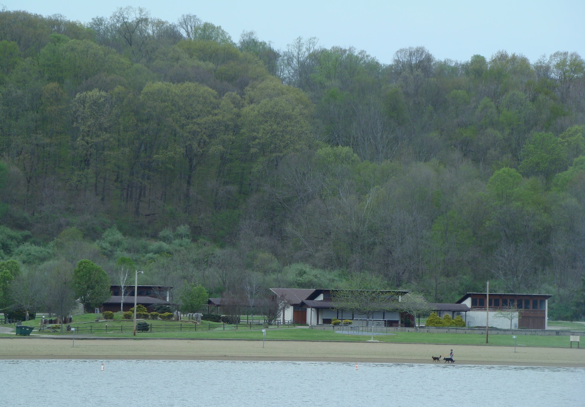 Salt Fork Beach