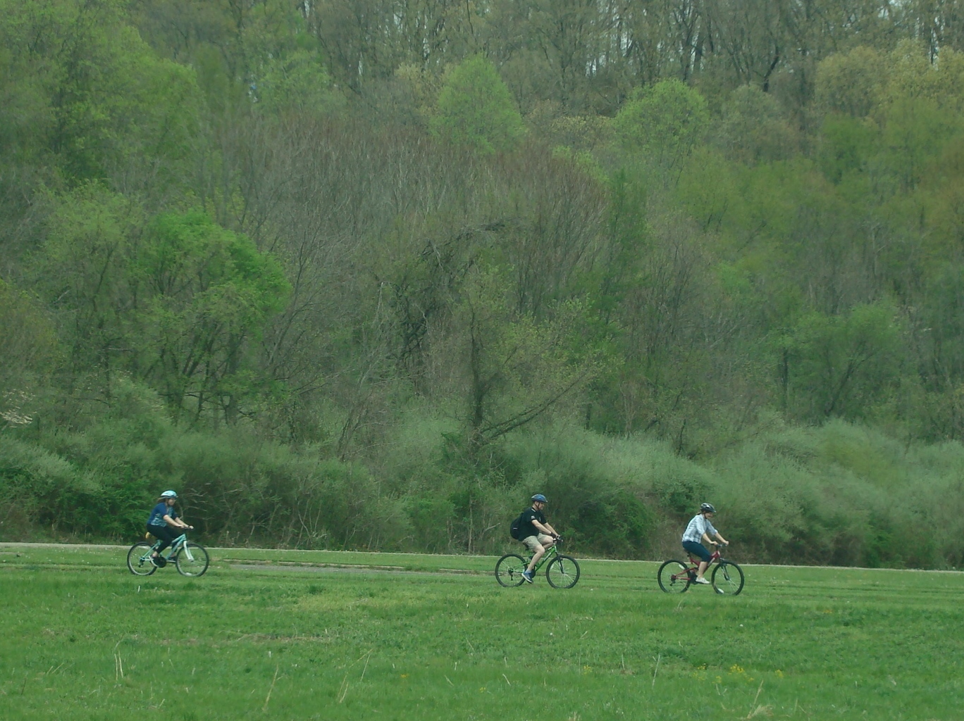 Salt Fork Bicycling