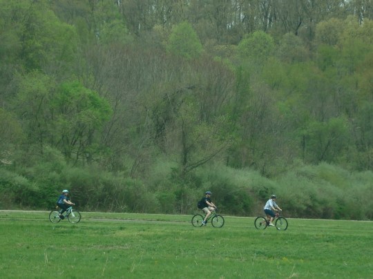 Salt Fork Bicycling