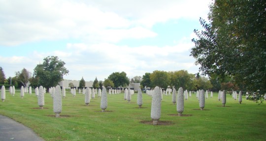 Field of Corn Overview 2