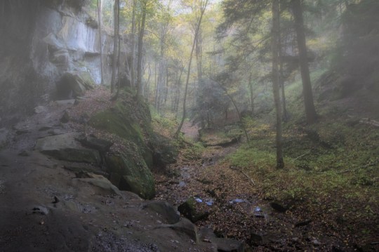 Daniel Nature Waterfalls
