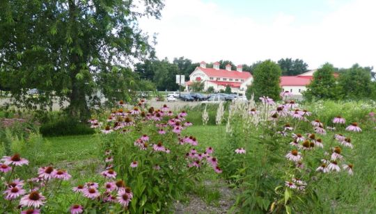 Smucker's Pollination Garden