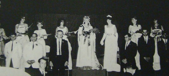 Fairview Pennyroyal Royalty