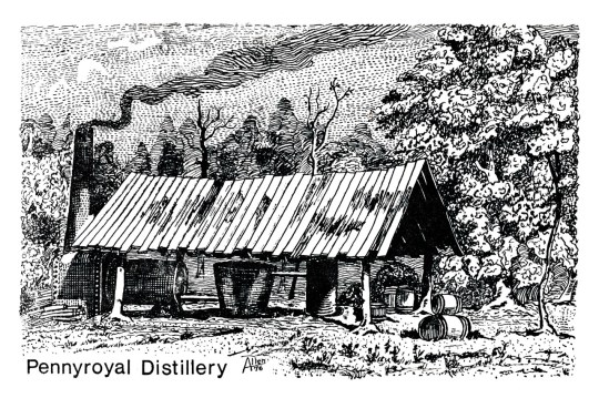 Pennyroyal Distillery Postcard