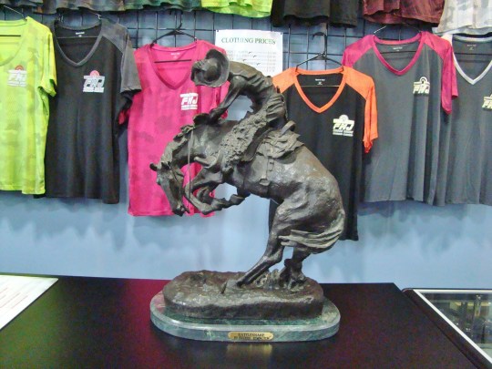 fmj remington rattlesnake