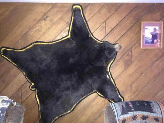 Bear Skin 2