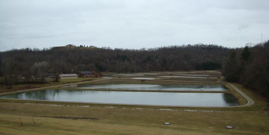 Hatchery Overlook