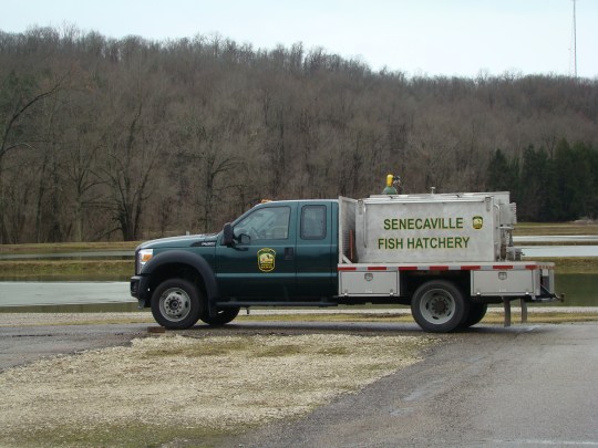 Hatchery Stocking Truck