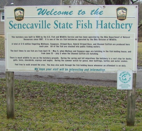Hatchery Welcome Sign
