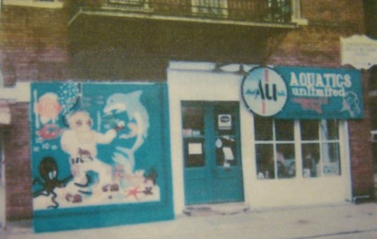 Captain - Aquatics Unlimited