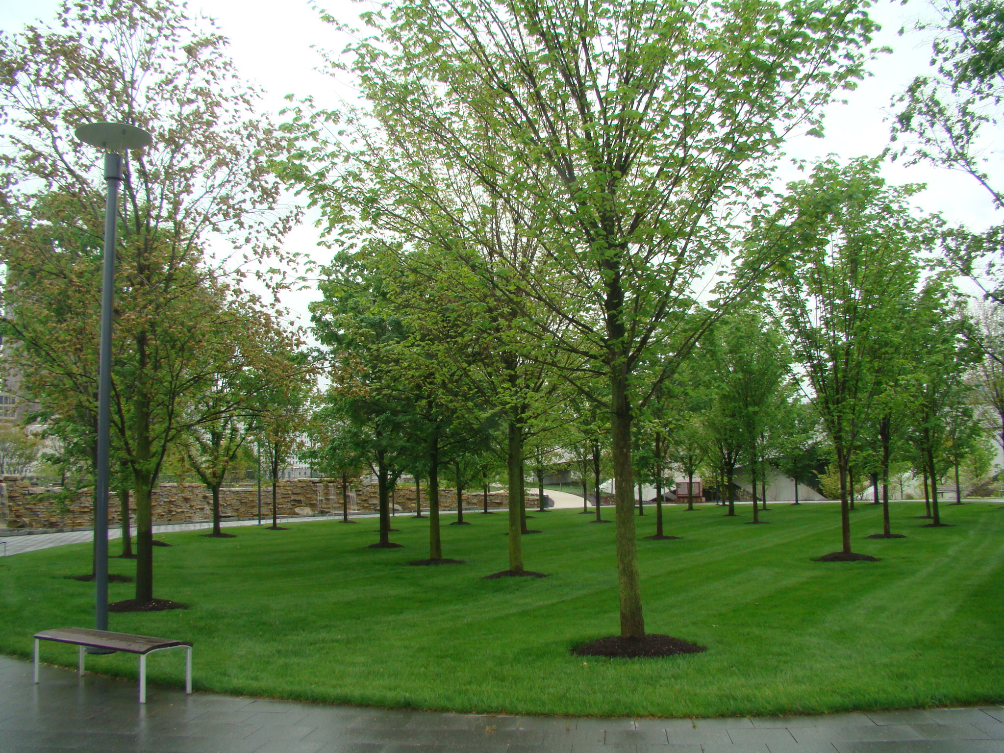 Veterans Memorial Grove
