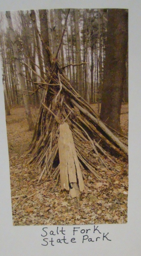 Bigfoot structure Salt Fork State Park