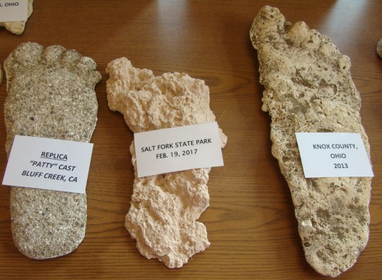 Doug FOotprint Casts