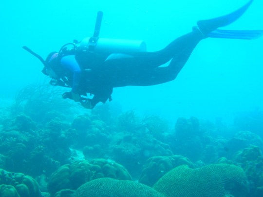 thumbnail_2t Shana--Cpt. Don's