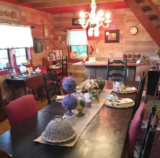 Julia inside cabin 2