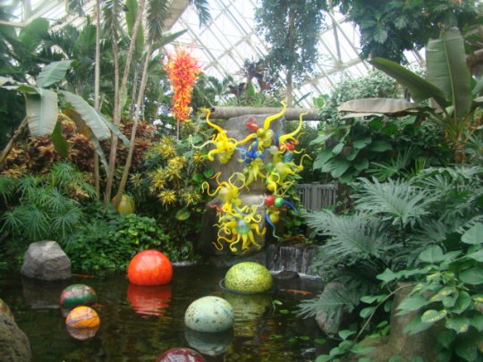 Chihuly Annie's Pond