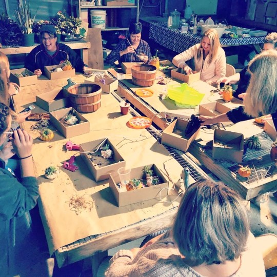 McDaniel's Fall Workshop (2)