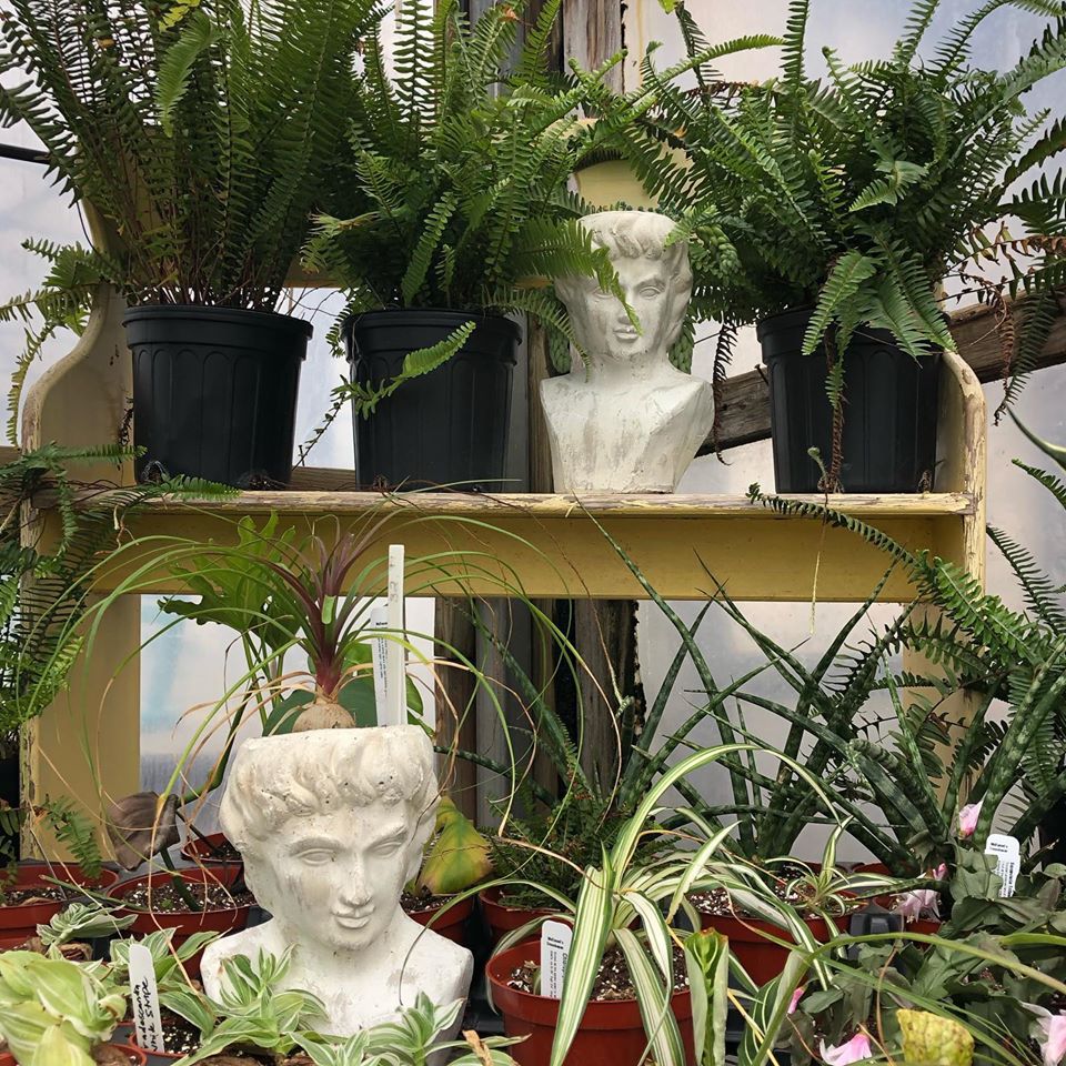 McDaniel's Fun Planters