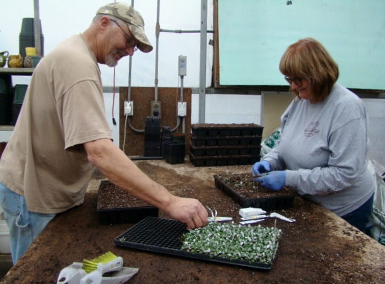 McDaniels Jay and Misty Travis