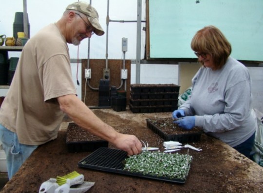 McDaniels Jay and Misty Travis