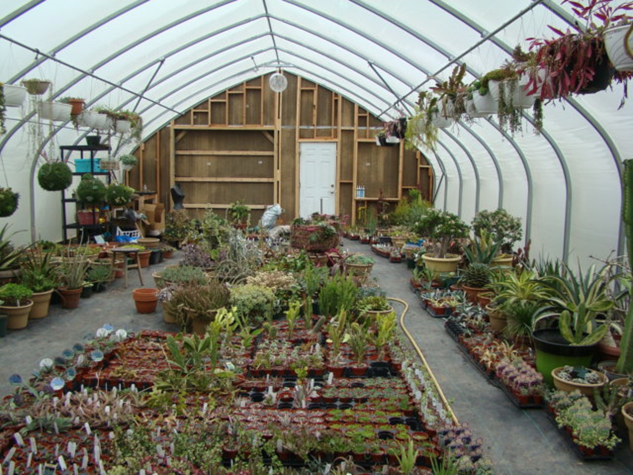 McDaniel's New Greenhouse