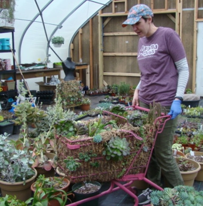 McDaniel's Rachel and shopping cart