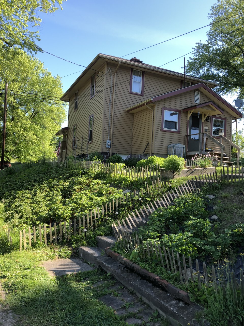 Lisa - Organic Strawberry Patch