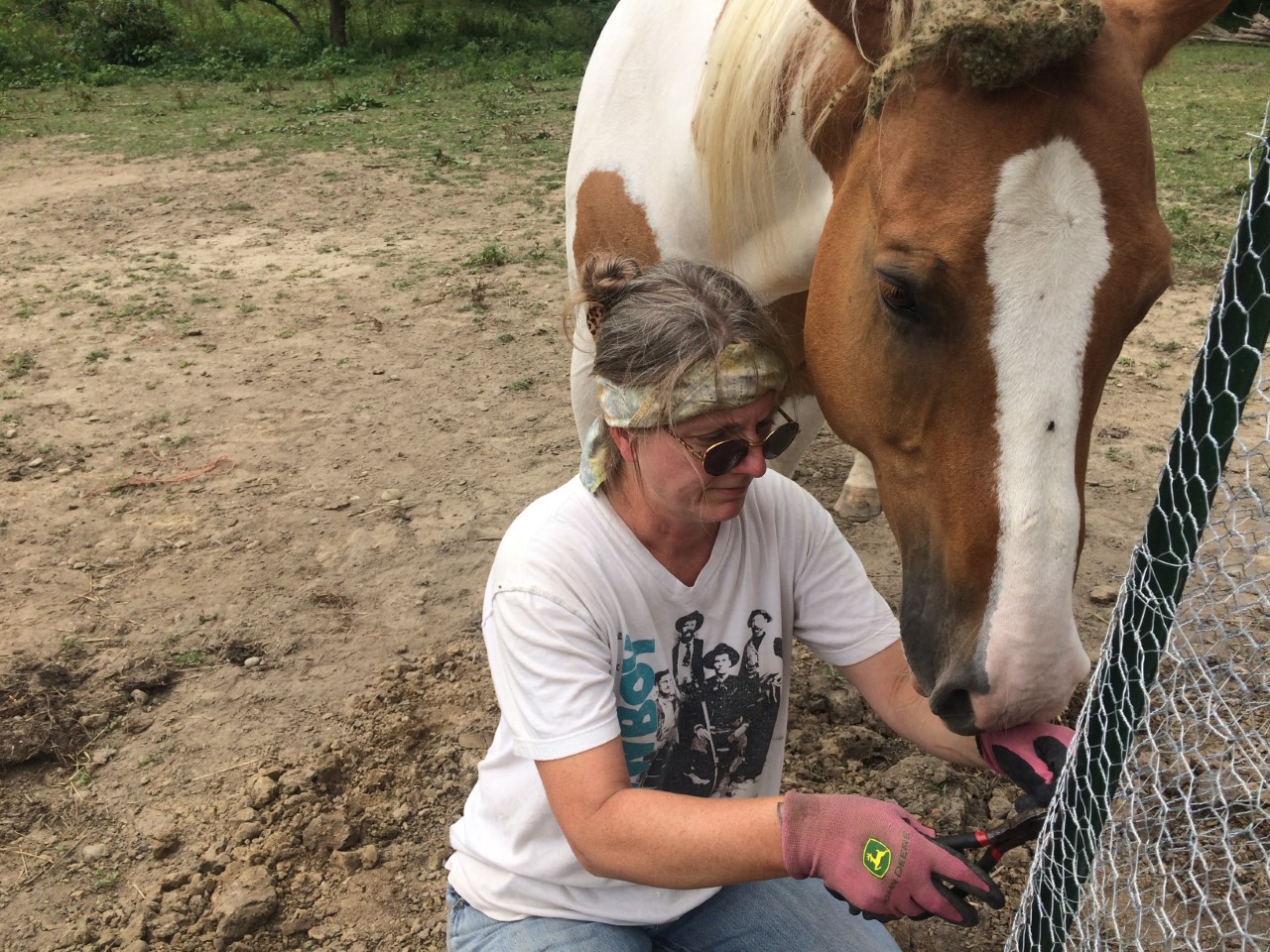 Lisa - Paloma chicken coop