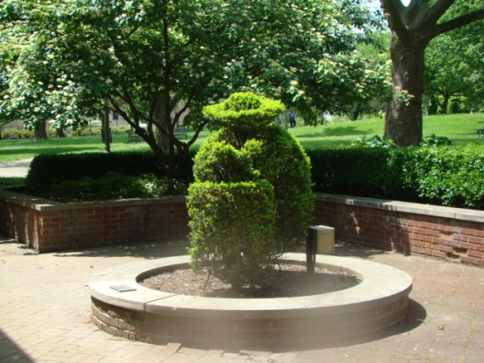 Topiary - Lady reading outside gift shop