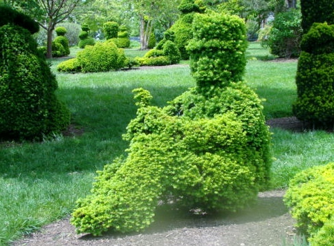 Topiary - Man with tophat